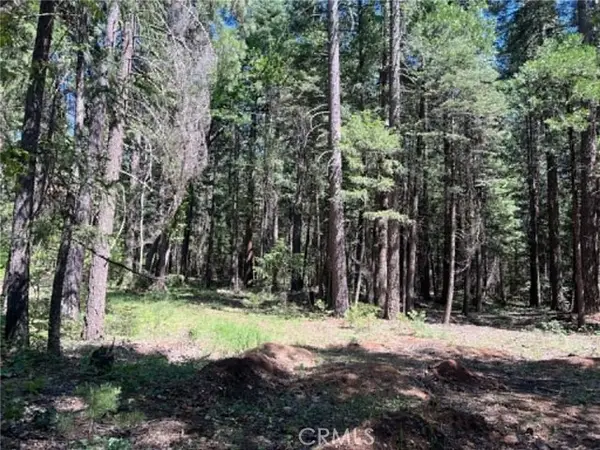 0 EASTWOOD WAY, Shingletown, CA 96088