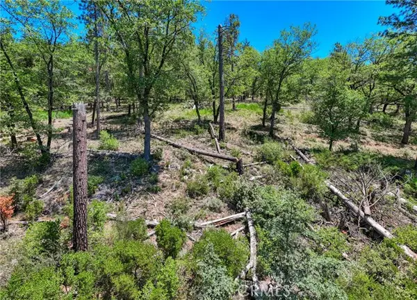 12548 Observation Road, Middletown, CA 95461