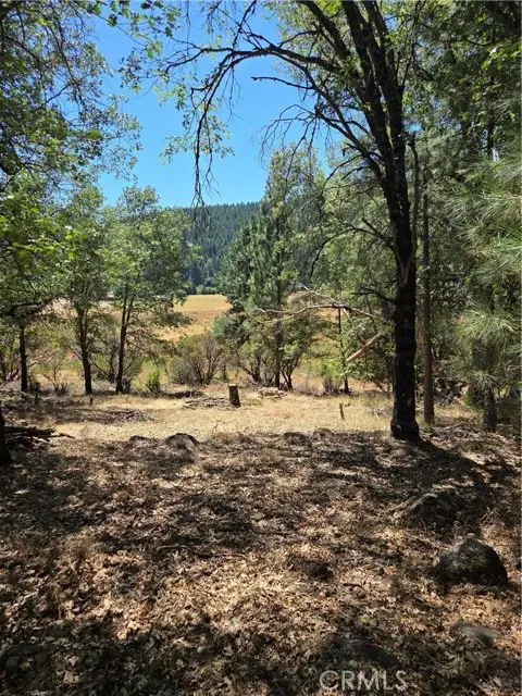 9655 Mountain Meadow, Kelseyville, CA 95451 - #1