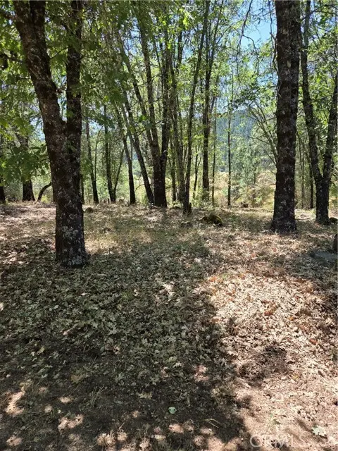 9655 Mountain Meadow, Kelseyville, CA 95451 - #2