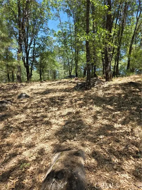 9655 Mountain Meadow, Kelseyville, CA 95451 - #3