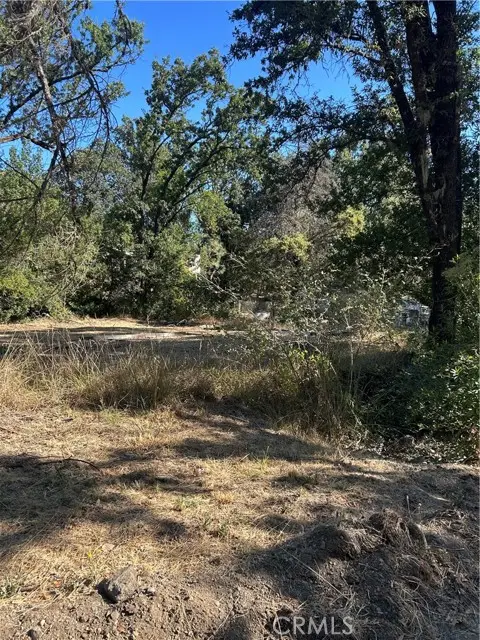 15394 Mckell Road, Middletown, CA 95461 - #2