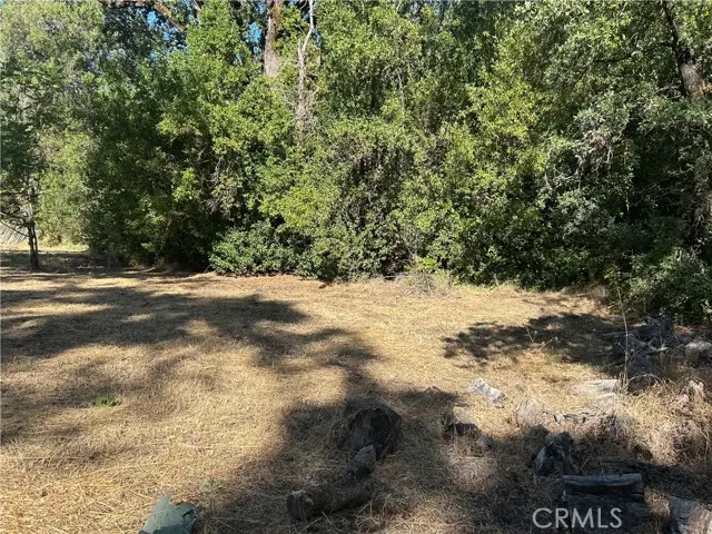 15394 Mckell Road, Middletown, CA 95461 - #3