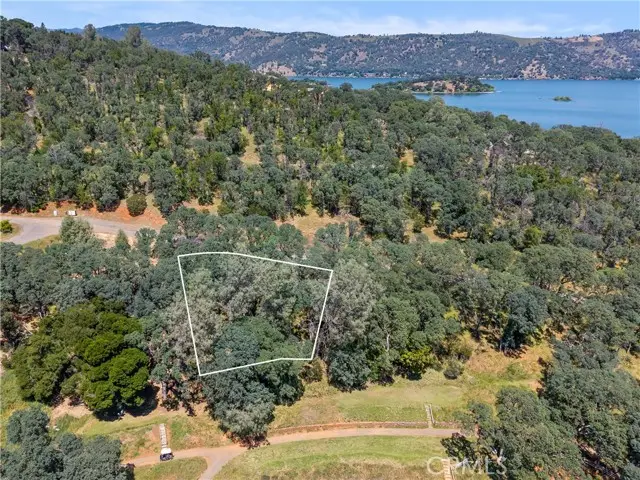 8239 Little Borax Lake Rd, Kelseyville, CA 95451 - #1