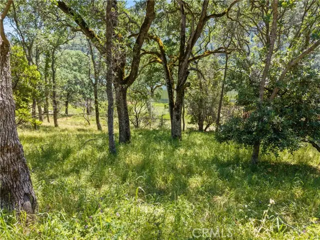 8239 Little Borax Lake Rd, Kelseyville, CA 95451 - #2