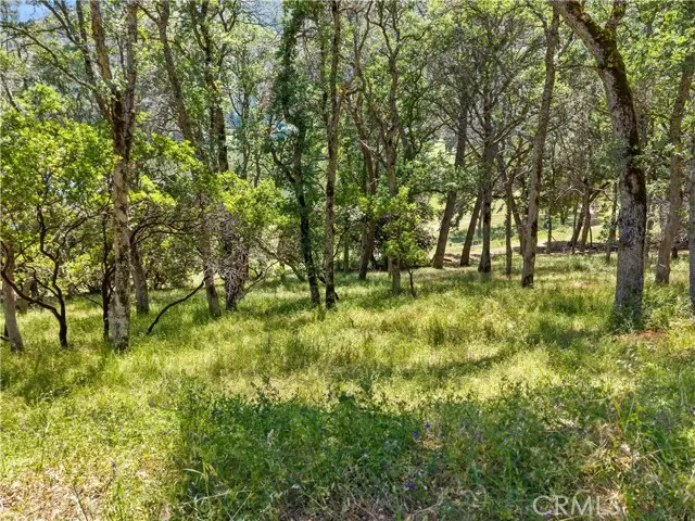 8259 Little Borax Lake Rd, Kelseyville, CA 95451 - #2