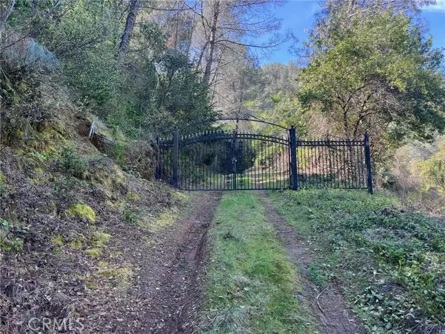 6189 Soda Bay Road, Kelseyville, CA 95451 - #3