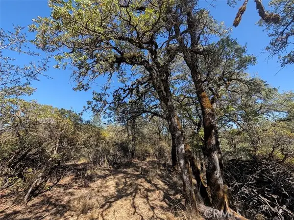 9951 Palmer Court, Kelseyville, CA 95451