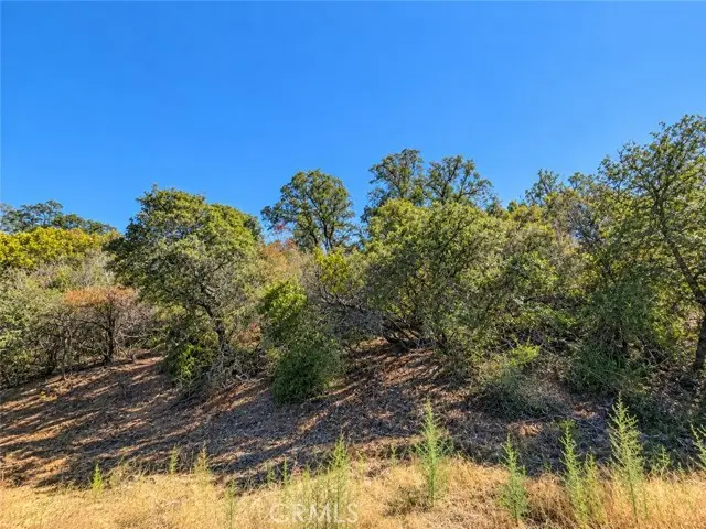 9951 Palmer Court, Kelseyville, CA 95451 - #3