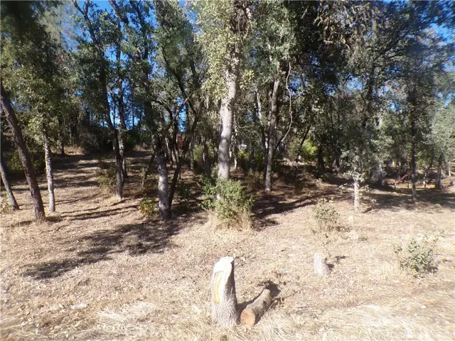 15608 36th Avenue, Clearlake, CA 95422 - #1