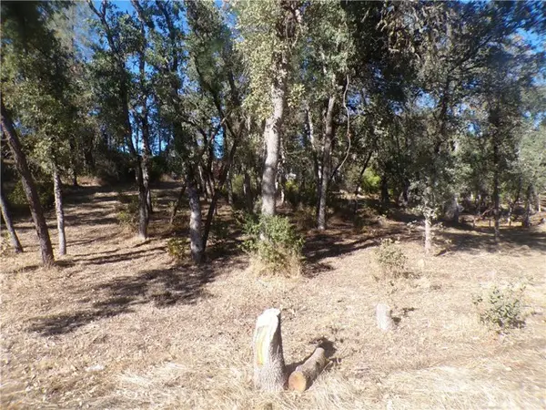 15608 36th Avenue, Clearlake, CA 95422