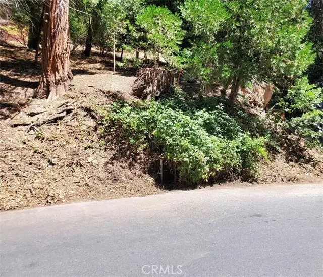 0 Basel Dr, Crestline, CA 92325 - Image #3