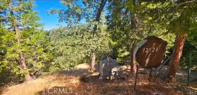 25126 Jewel Drive, Crestline, CA 92325 - #1