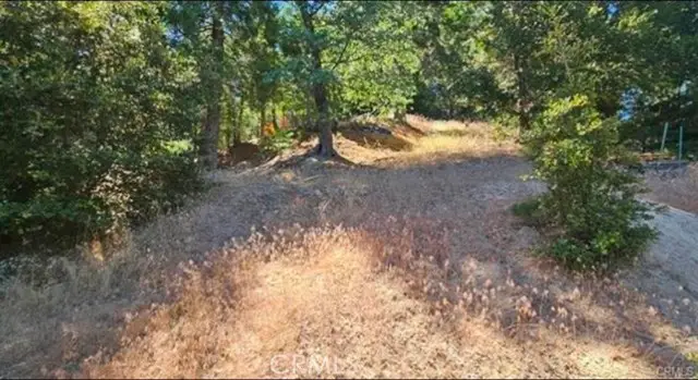 25126 Jewel Drive, Crestline, CA 92325 - #2