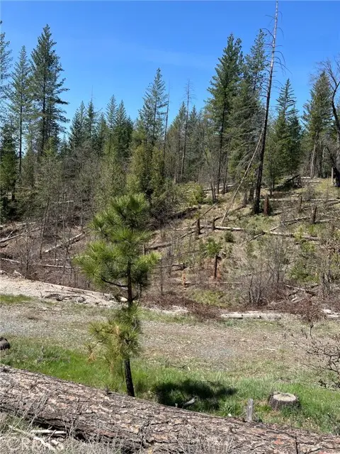 6493 Greeley Hill Road, Coulterville, CA 95311 - #2