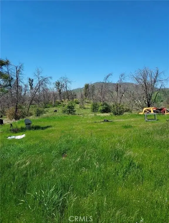 3109 Wild Dove Lane, Mariposa, CA 95338 - #1