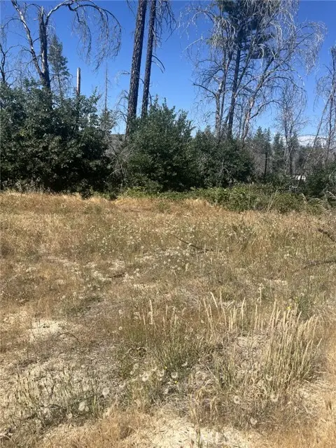 130 Simpson Ranch Road, Berry Creek, CA 95916 - #2