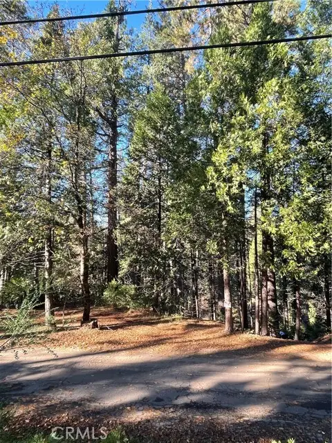 22447 Ponderosa DR, Twain Harte, CA 95383 - #2