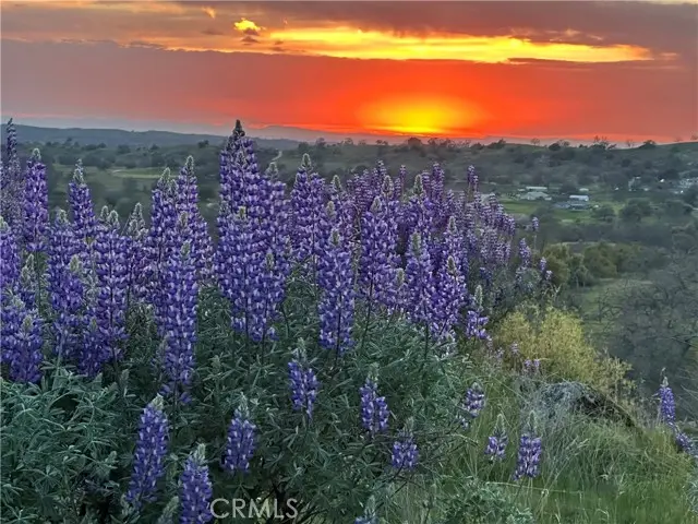 0 Spinecup Ridge, Raymond, CA 93653 - #1