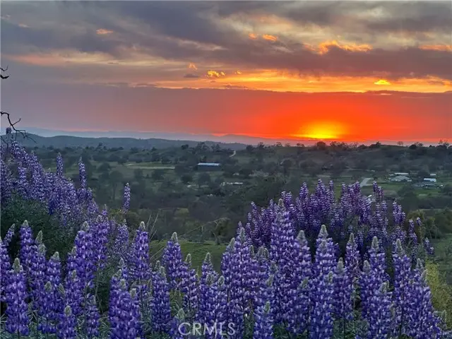 0 Spinecup Ridge, Raymond, CA 93653 - #2