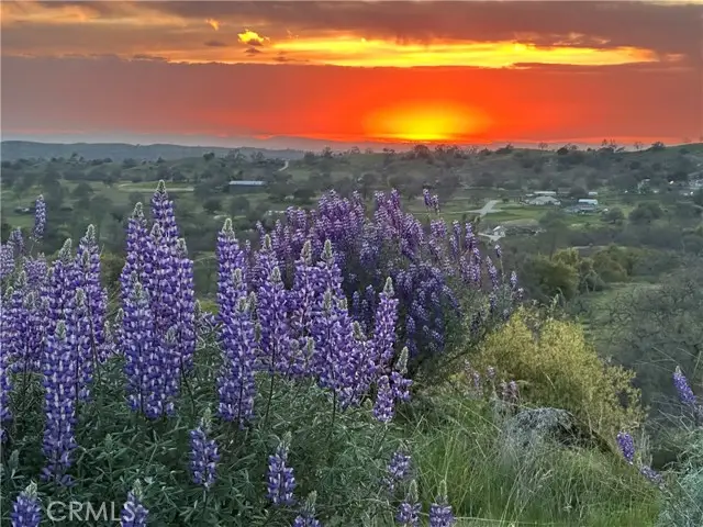 0 Spinecup Ridge, Raymond, CA 93653 - #3