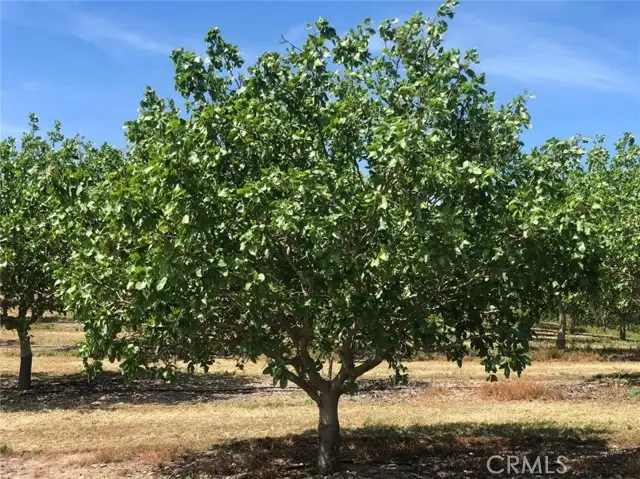 17981 Los Cerritos, Snelling, CA 95369 - #1