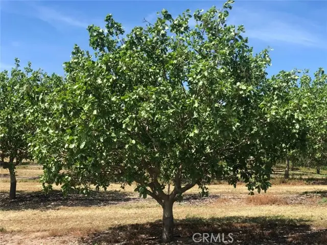 17981 Los Cerritos, Snelling, CA 95369 - #3