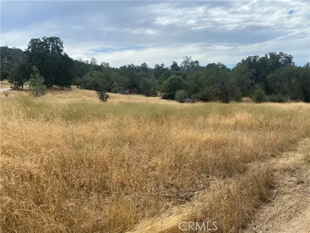 0 Hogans Mountain RD, Coarsegold, CA 93614 - #2