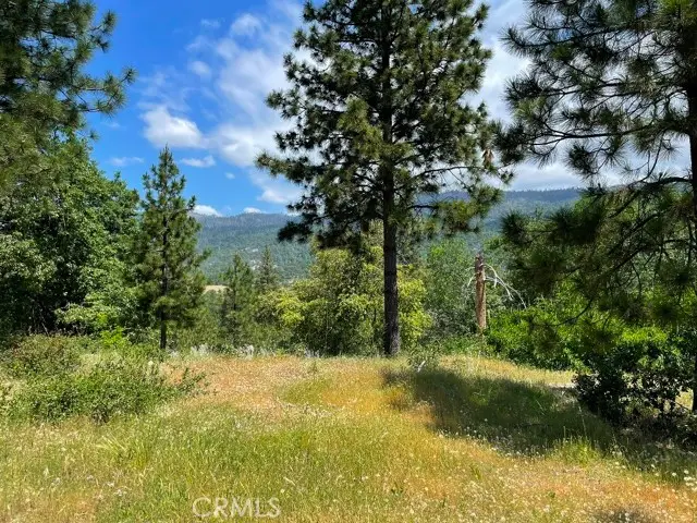 0 Triangle Road, Mariposa, CA 95338 - #2