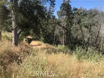 4521 Alamo Creek Road, Mariposa, CA 95338 - #2