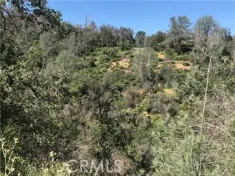 4521 Alamo Creek Road, Mariposa, CA 95338 - #3