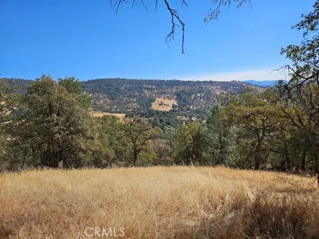 5640 Blue Oak Ridge Road, Mariposa, CA 95338 - #3