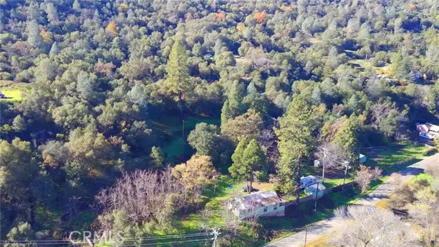 4975 Miller Road, Mariposa, CA 95338 - #2