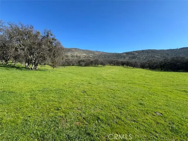 471 Hwy 49N, Mariposa, CA 95338 - #3