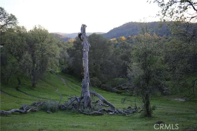 18 Unassigned Usona Rd., Mariposa, CA 95338 - #3