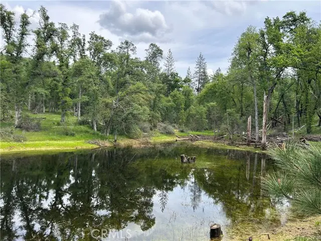 5 Placer Lane, Mariposa, CA 95338 - #3