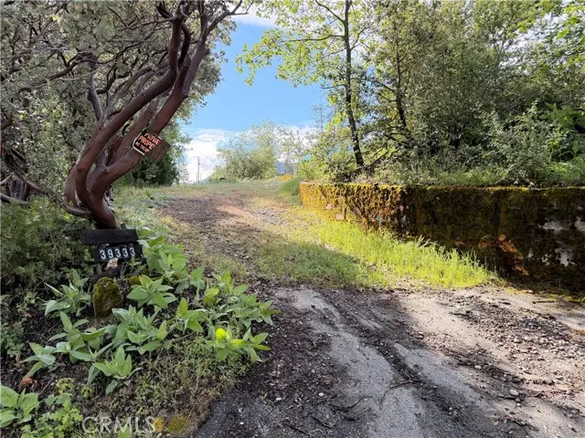 39333 Manzanita Drive, Oakhurst, CA 93644 - #1
