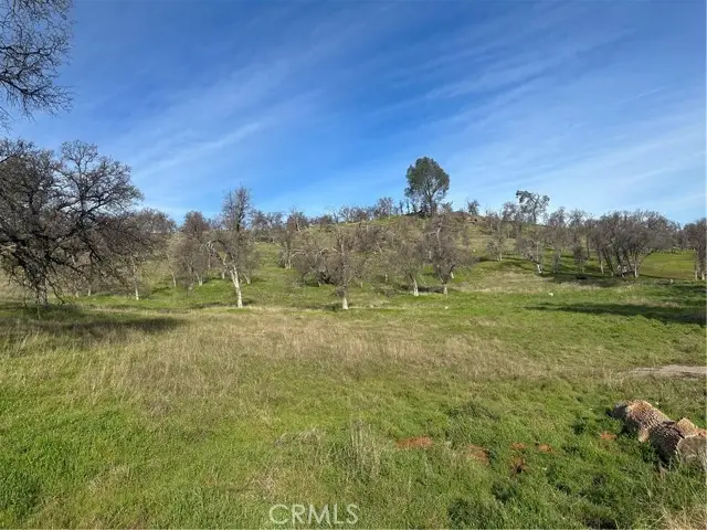 3228 Wild Rose Court, Catheys Valley, CA 95306 - #1