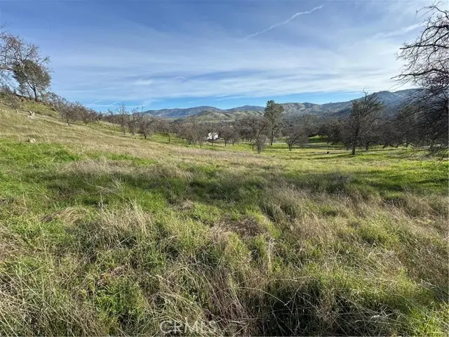 3228 Wild Rose Court, Catheys Valley, CA 95306 - #3
