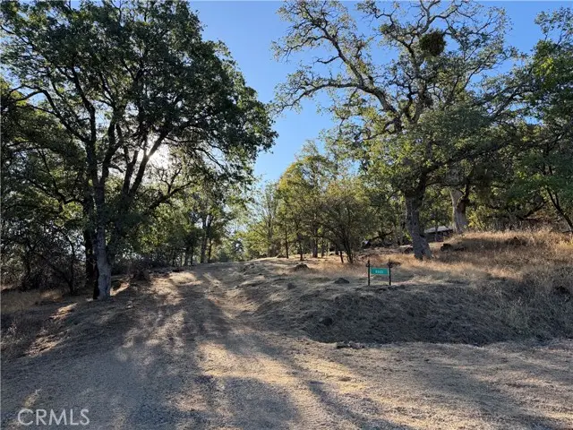 6005 Sherlock, Mariposa, CA 95338 - #2