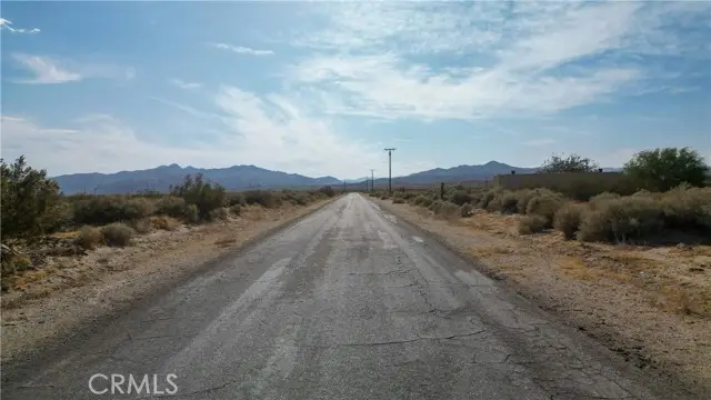 10313 Lake Road, Cantil, CA 93519 - #2