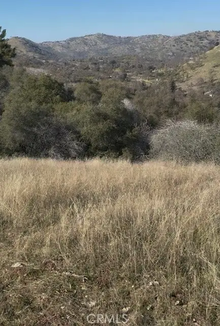 0 Chuckwagon Road, Squaw Valley, CA 93675 - #2