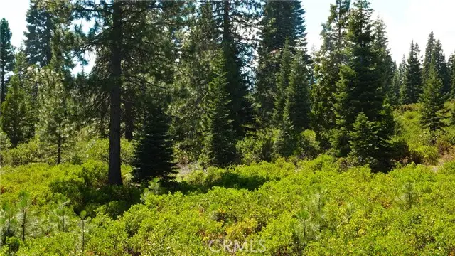 0 Echo Way, McCloud, CA 96057 - #1