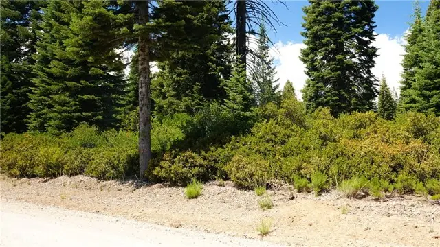 0 Echo Way, McCloud, CA 96057 - #3