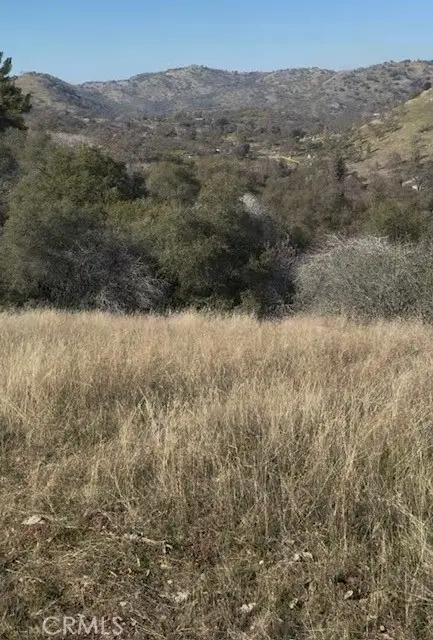 0 Chuckwagon Road, Squaw Valley, CA 93675