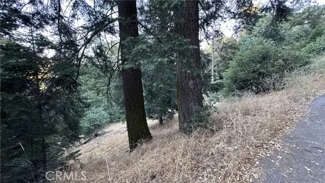 0 Fir, Cedarpines Park, CA 92322 - #2