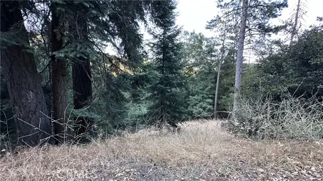 0 Fir, Cedarpines Park, CA 92322 - #3