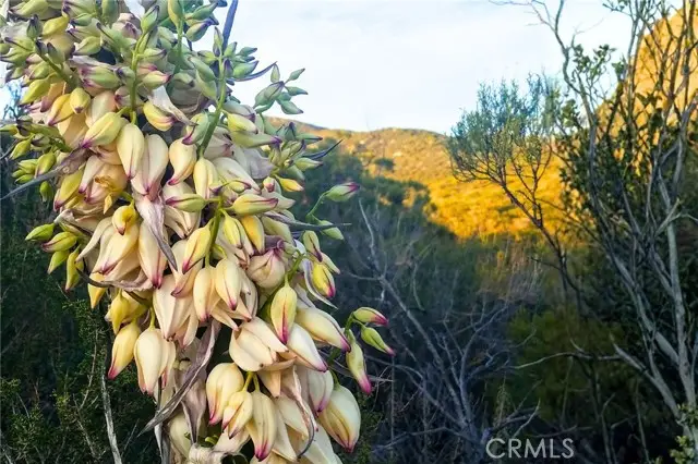 0 Cruces, Warner Springs, CA 92086 - #2