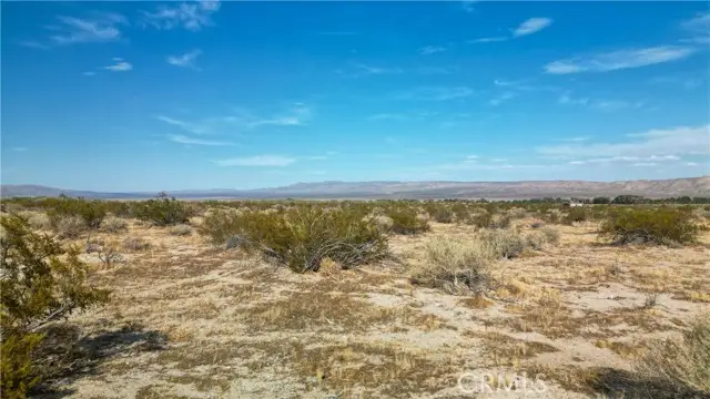 10313 Lake Road, Cantil, CA 93519 - #2