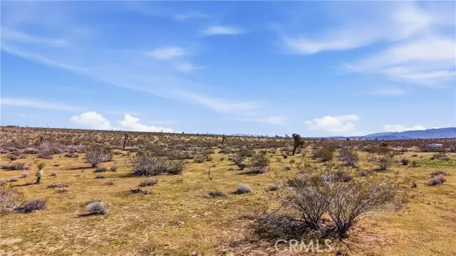 0 Lynwood Drive, Joshua Tree, CA 92252 - #2